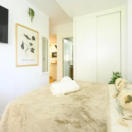 Apartamento No Living